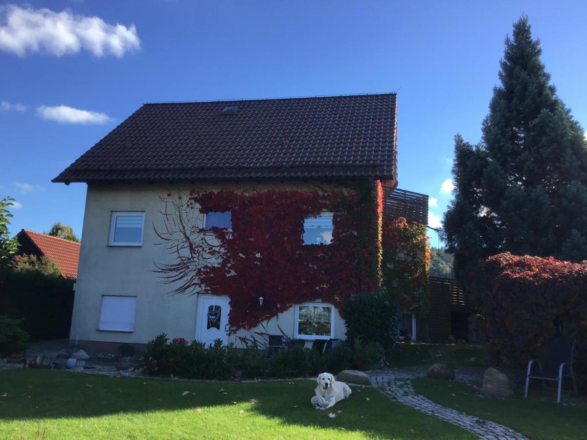 Ferienwohnung Elli Gernrode  エクステリア 写真